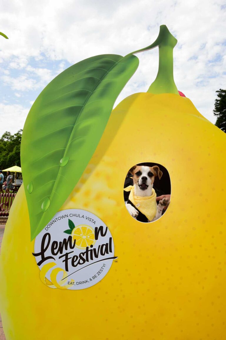 Chula Vista celebrates Lemon Festival this weekend
