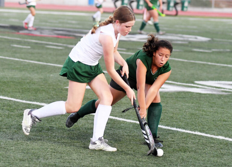 Metro teams represented in girls field hockey, boys water polo section rankings