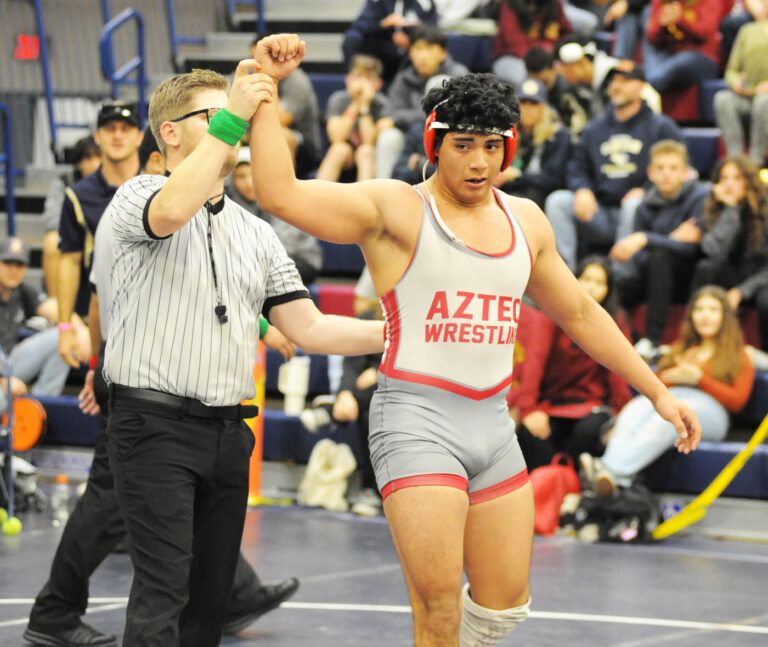 Six Metro matsters qualify for state wrestling tournament
