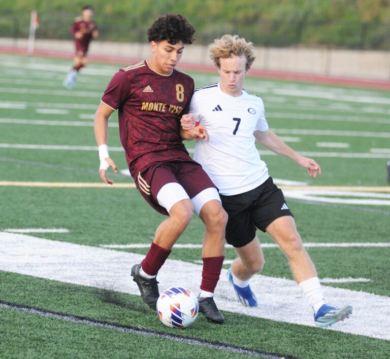 Monarchs clip Eagles’ wings, win Division III boys soccer final