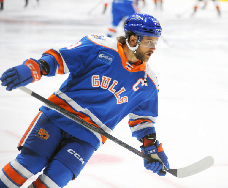 Pro hockey playoffs set to face off without Gulls again