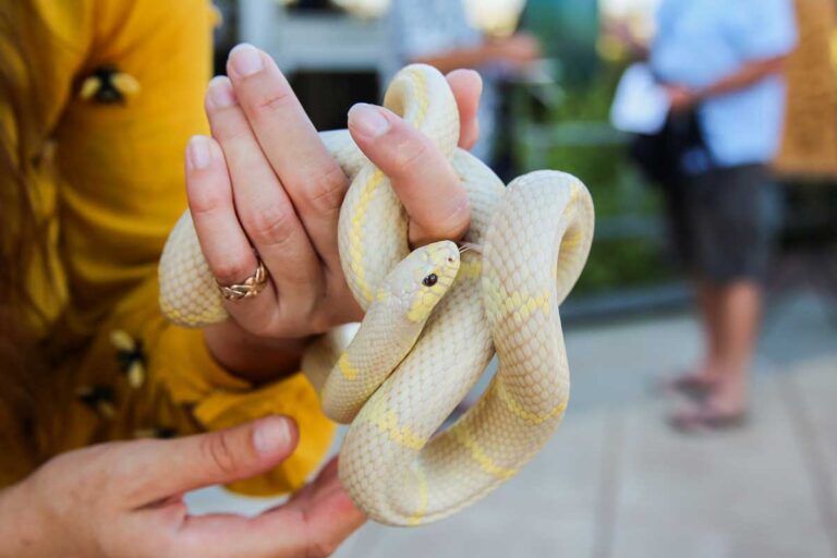 August fundraiser for Center