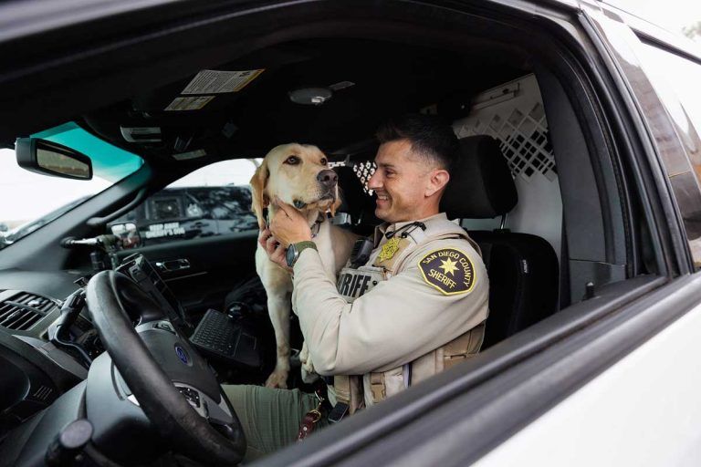 Scent and mental acuity hallmarks of Sheriff’s additions