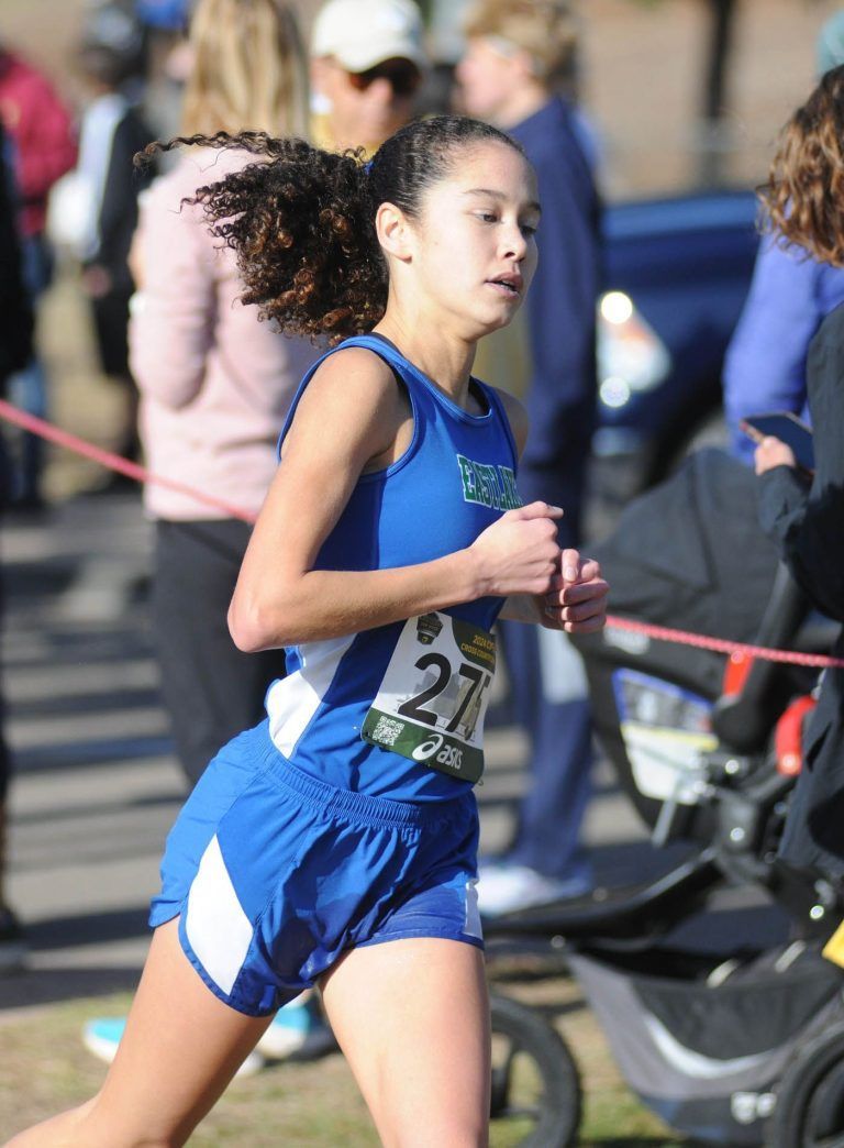 Three Metro harriers advance to state cross country championship