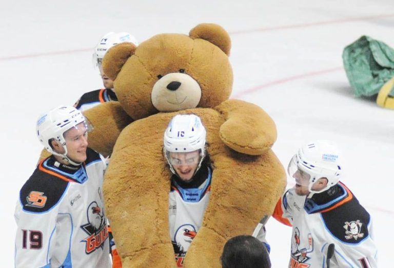 Gulls’ annual Teddy Bear Toss livens up holiday season