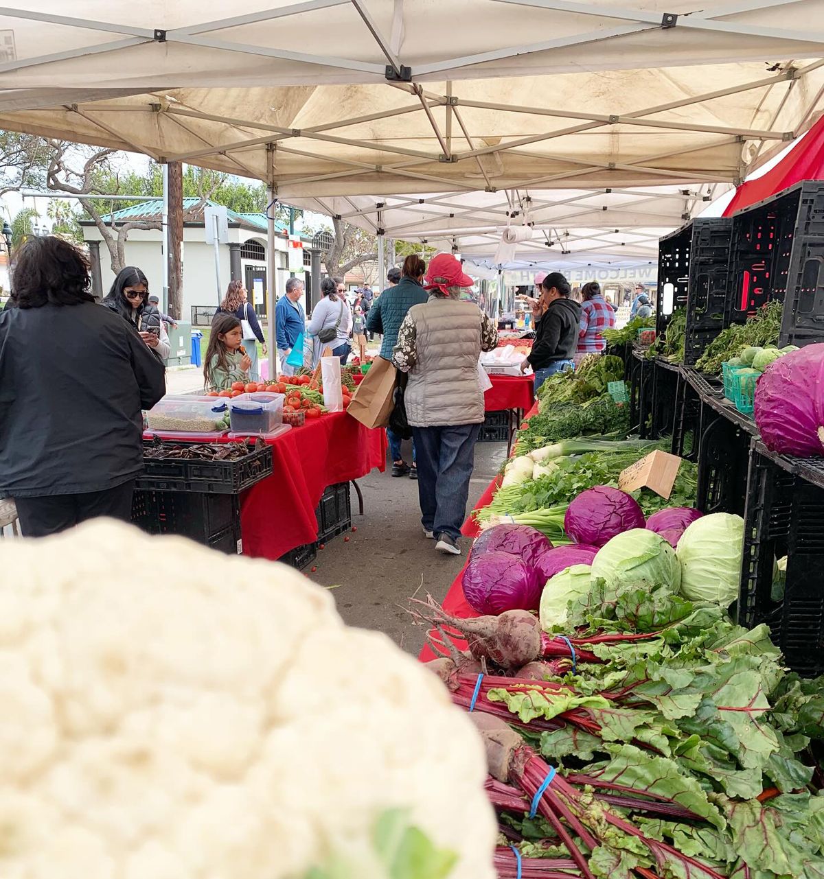 Chula Vista Farmers Market celebrates three years of community and growth