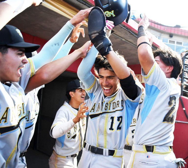 Metro spring success includes CIF baseball runner-up finishes