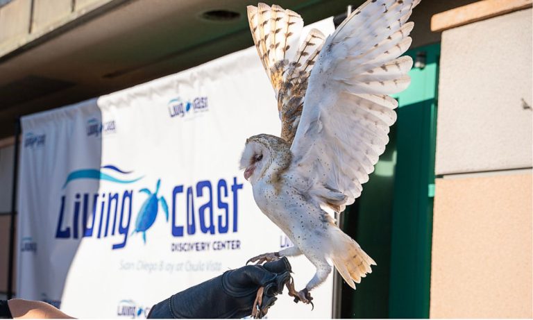 Fresh food, fresh air at center  of Living Coast fundraiser