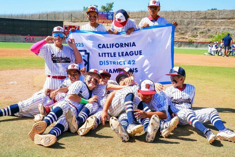 It’s a banner year for California District 42 Little League champions