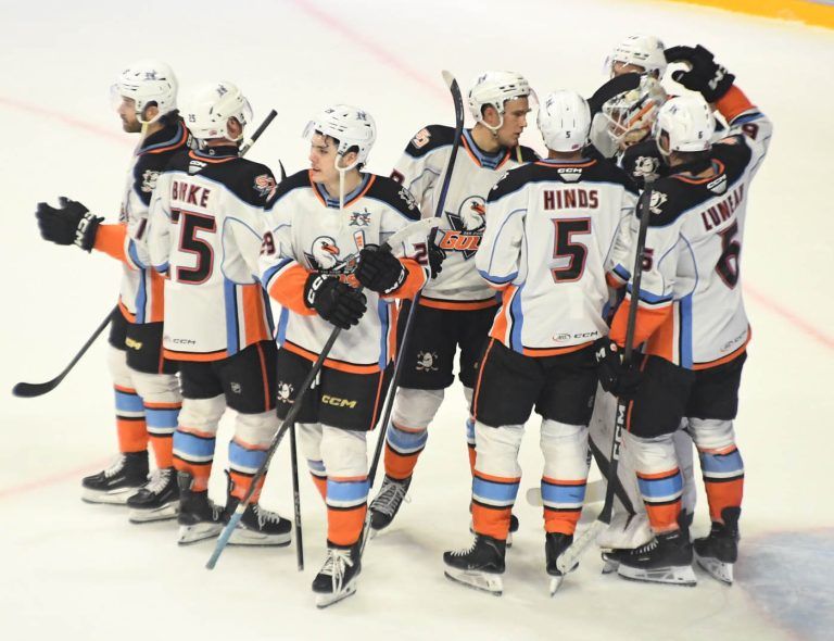 Gulls making up ground in AHL standings with strong holiday push