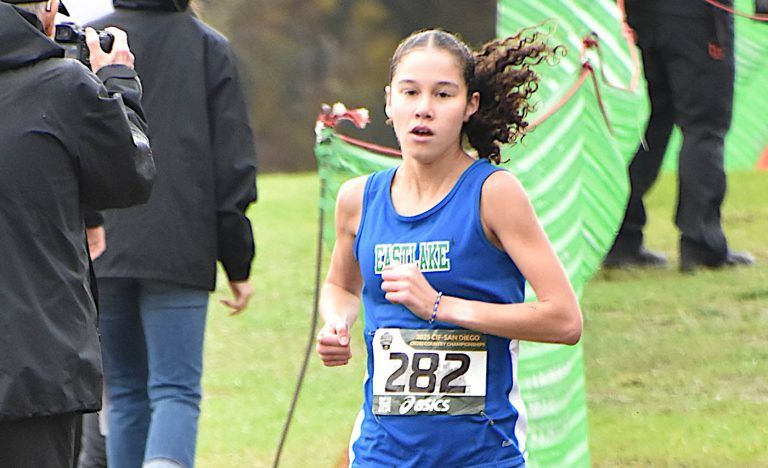 Eastlake’s Williams speeds to state cross country title