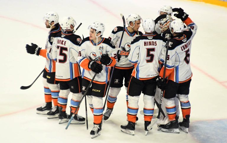 Gulls close out November with points in eight of 11 games, face off December with three out of four points