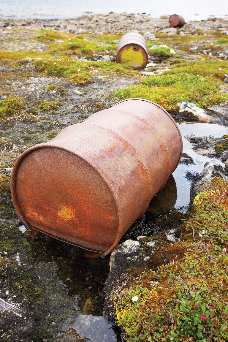 County seeks pollution chief