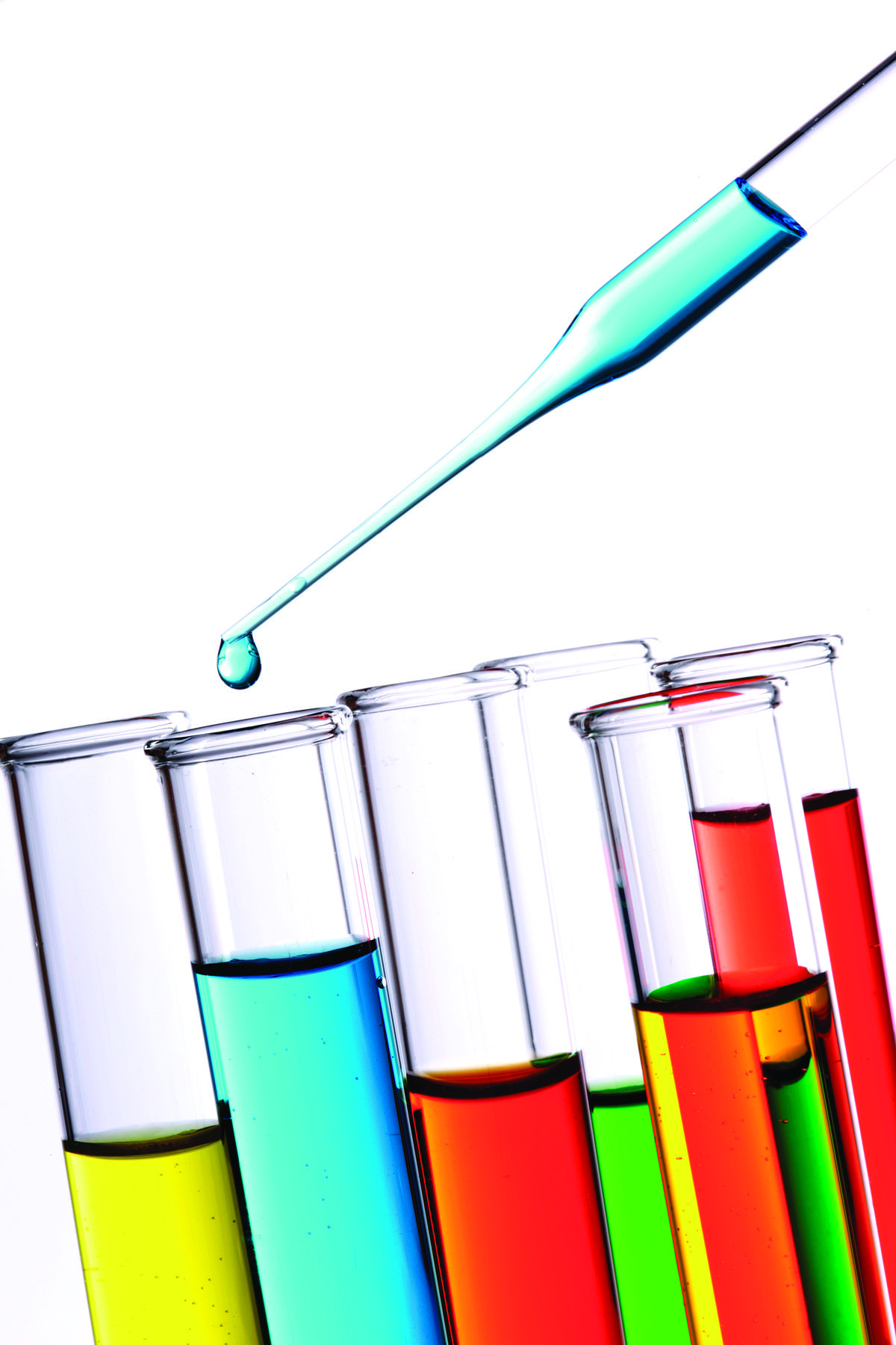 Students work on river study