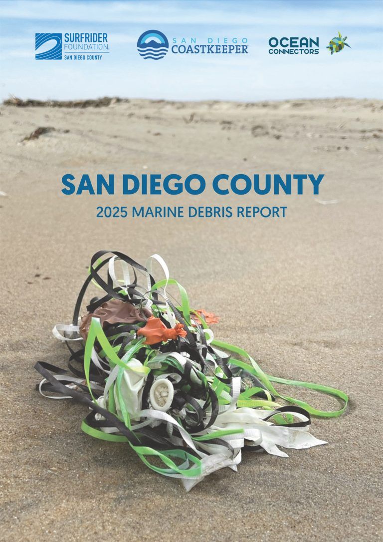 Report highlights the need to address plastic pollution